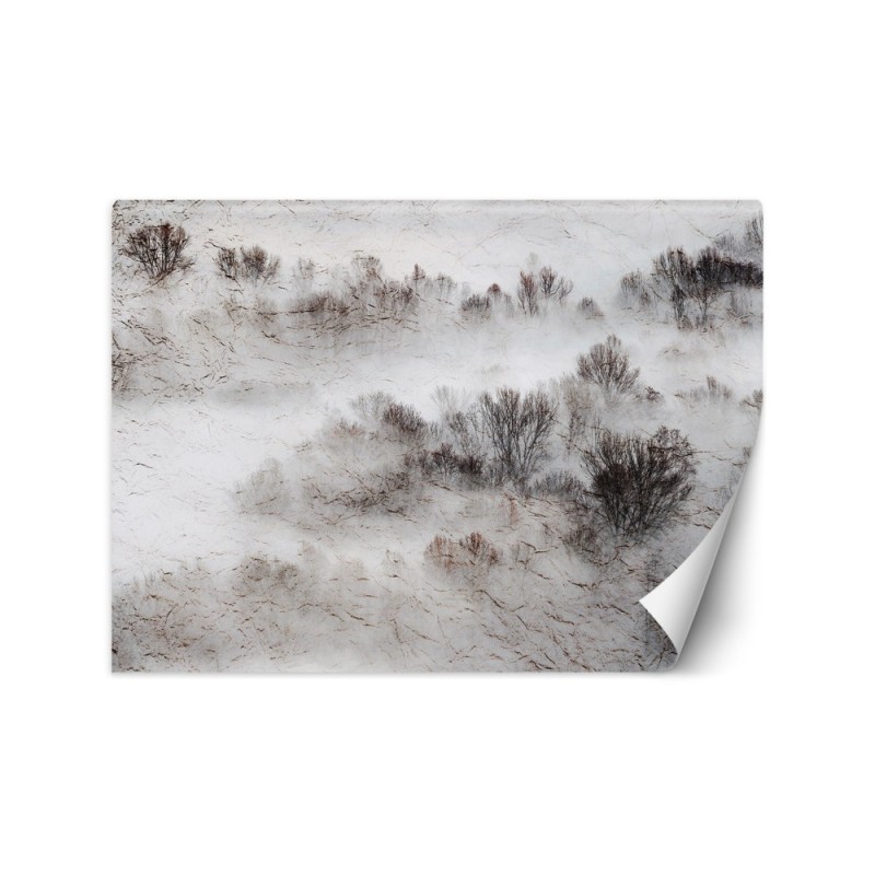 The most fashionable Wallpapers for the living room - Meadow mist trees | FEEBY