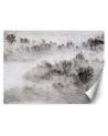 The most fashionable Wallpapers for the living room - Meadow mist trees | FEEBY