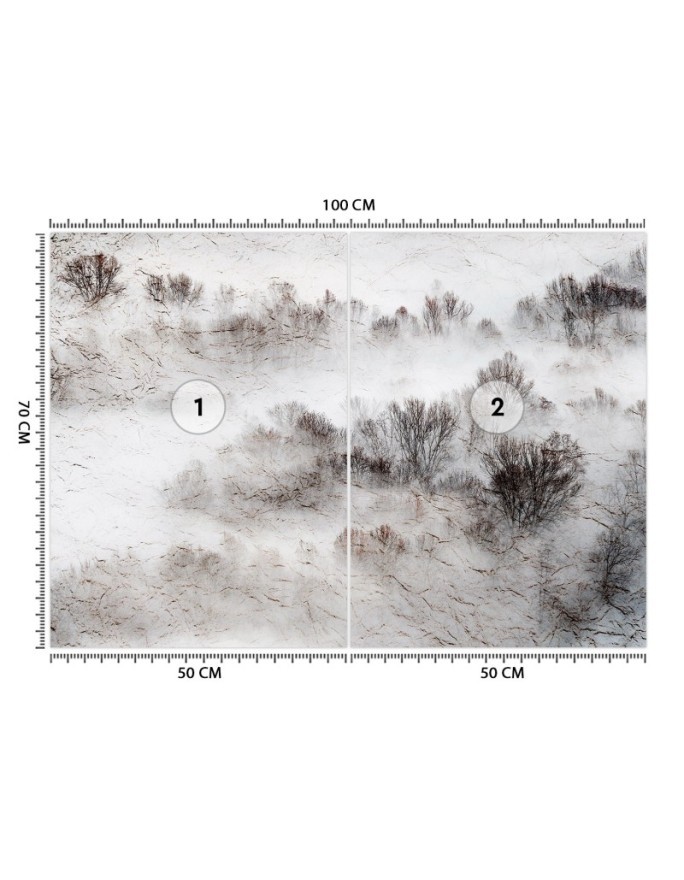 The most fashionable Wallpapers for the living room - Meadow mist trees | FEEBY
