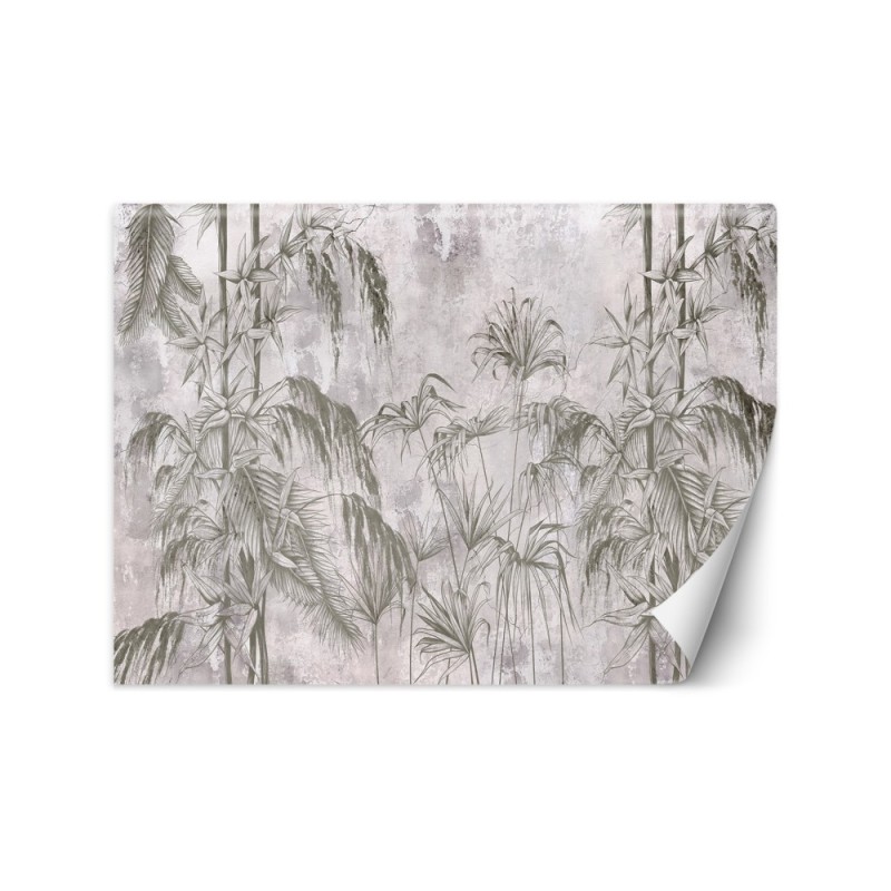 Wall mural - Jungle Concrete Black White Plants | FEEBY
