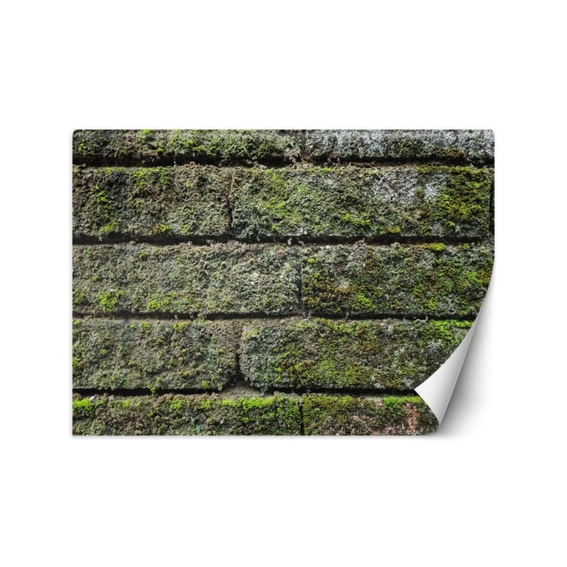 Texture wall murals for living room - Brick moss | FEEBY
