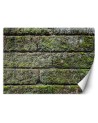 Texture wall murals for living room - Brick moss | FEEBY