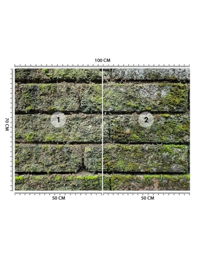 Texture wall murals for living room - Brick moss | FEEBY