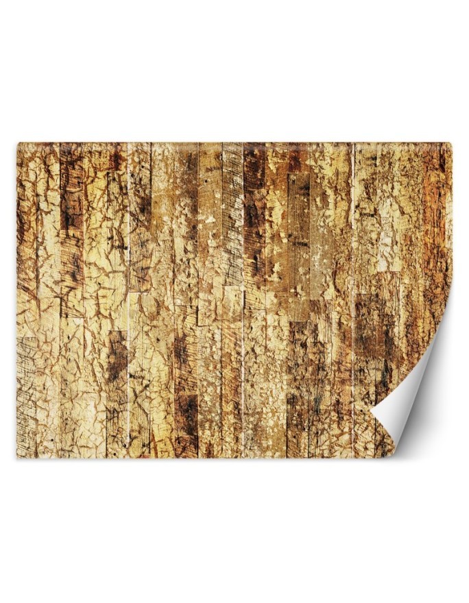 Original wall murals - Old Wood Gold | FEEBY