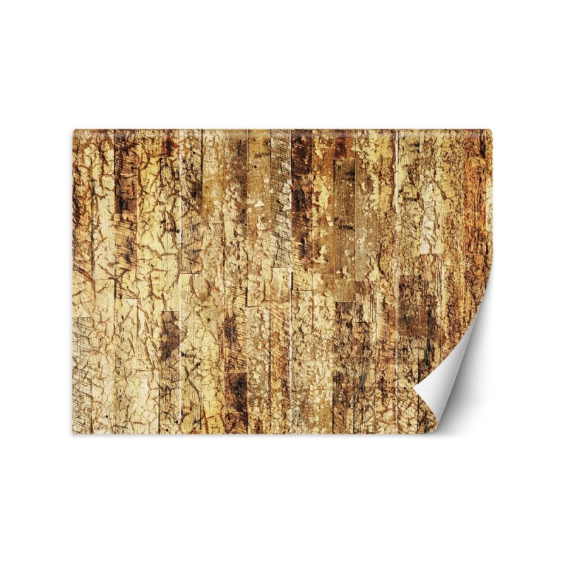 Original wall murals - Old Wood Gold | FEEBY