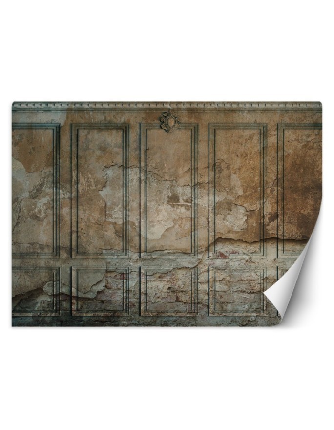 The most fashionable wall murals for the living room - Dark Old Wall | FEEBY
