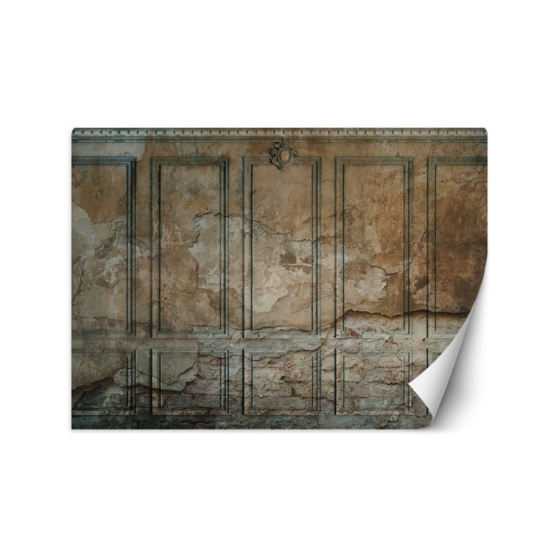 The most fashionable wall murals for the living room - Dark Old Wall | FEEBY