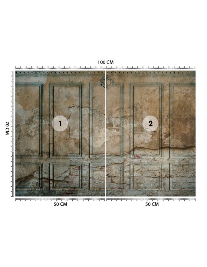 The most fashionable wall murals for the living room - Dark Old Wall | FEEBY