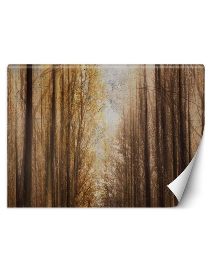 Unique wall murals for the living room - Autumn Forest Trees | FEEBY