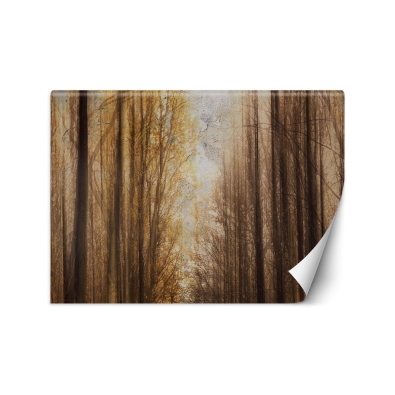 Unique wall murals for the living room - Autumn Forest Trees | FEEBY