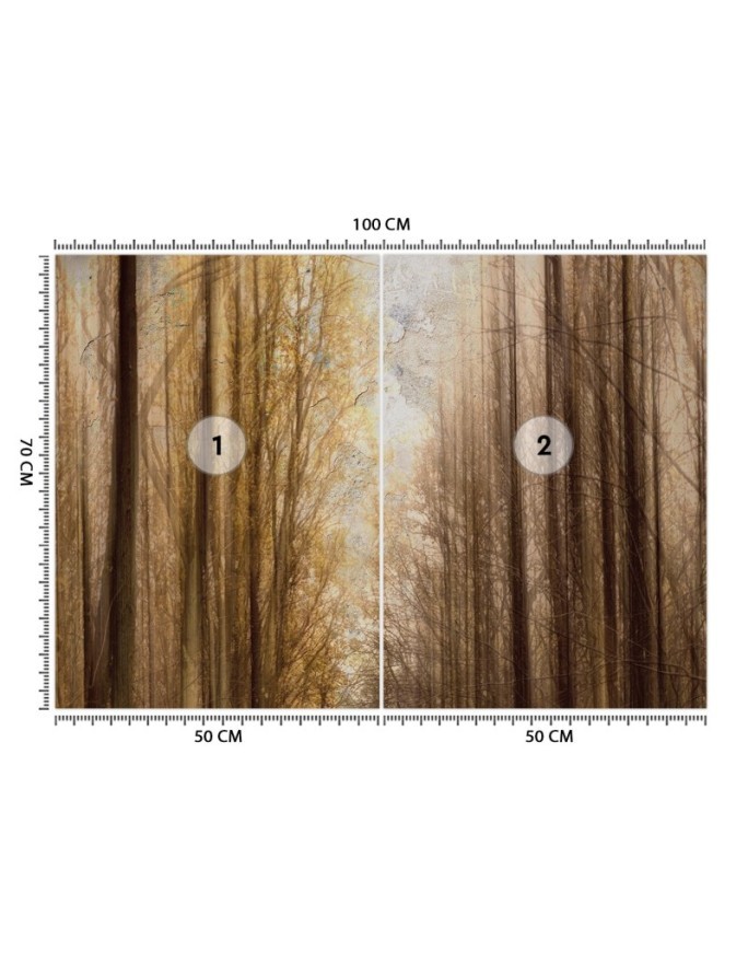 Unique wall murals for the living room - Autumn Forest Trees | FEEBY