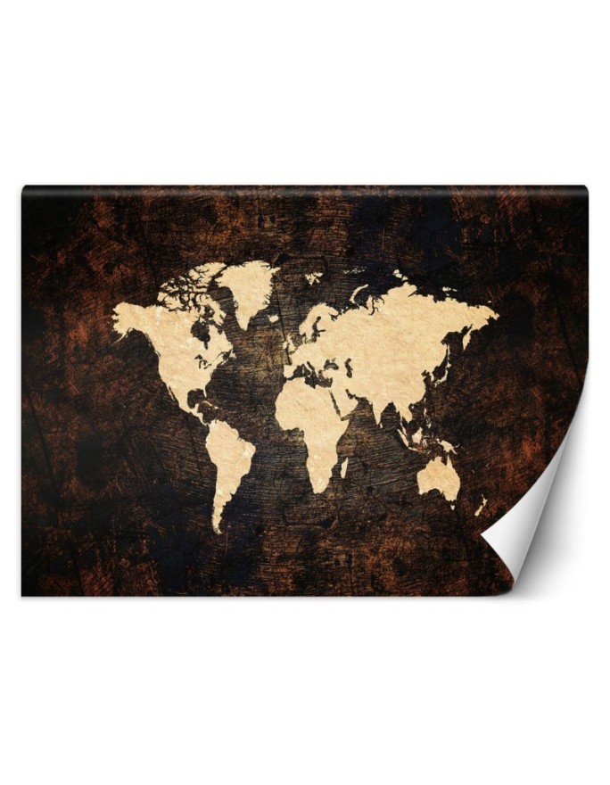 The most fashionable wall murals for the living room - World map brown | FEEBY