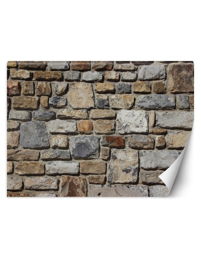 Texture wall murals for living room - Stone wall with sandstone | FEEBY