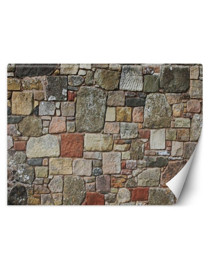 Texture wall mural for living room - Ornamental stone | FEEBY