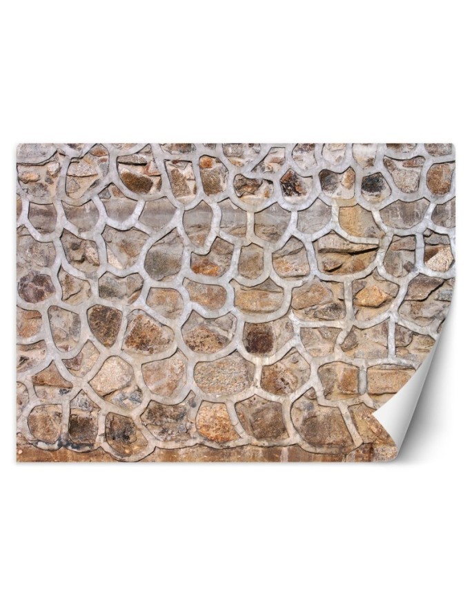 The most fashionable wall murals for living room - Stone wall | FEEBY