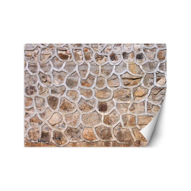 The most fashionable wall murals for living room - Stone wall | FEEBY
