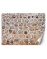 The most fashionable wall murals for living room - Stone wall | FEEBY