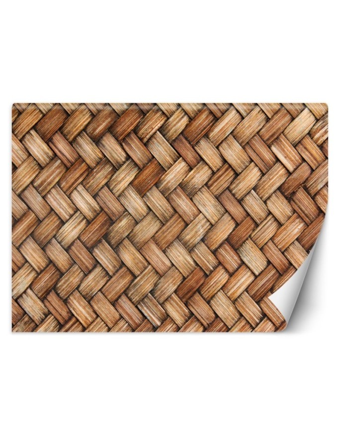 Original wall murals for living room - Wicker | FEEBY