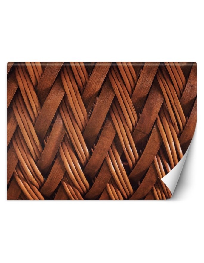 Beautiful wall murals for the living room - 3D wicker weave | FEEBY