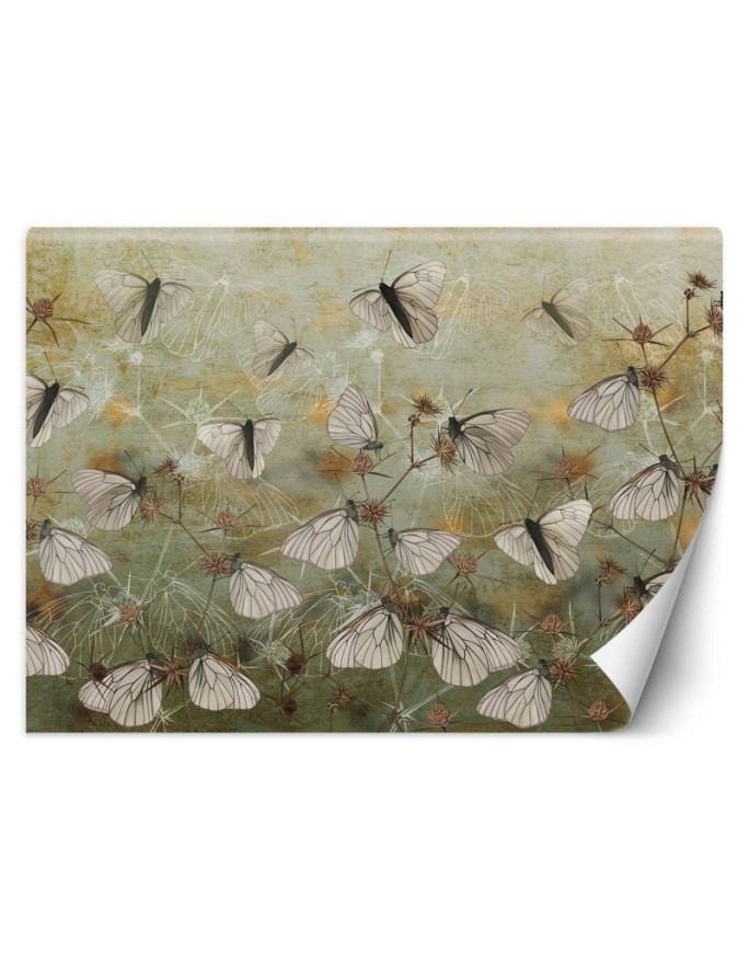 Exclusive wall murals - Butterflies against an old wall | FEEBY
