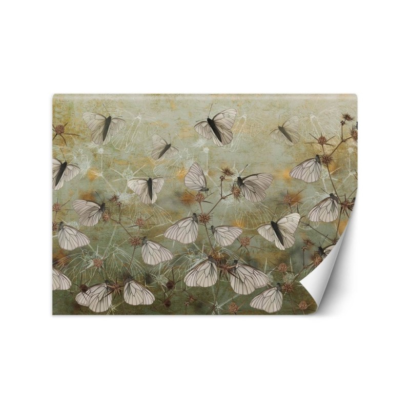 Exclusive wall murals - Butterflies against an old wall | FEEBY
