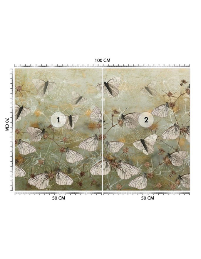 Exclusive wall murals - Butterflies against an old wall | FEEBY