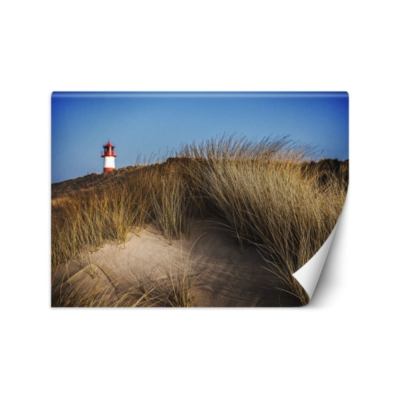 Beautiful Wallpapers - Lighthouse dunes grasses sea | FEEBY