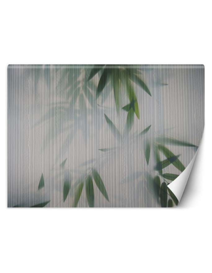 Modern Wallpapers - Nature mist leaves | FEEBY