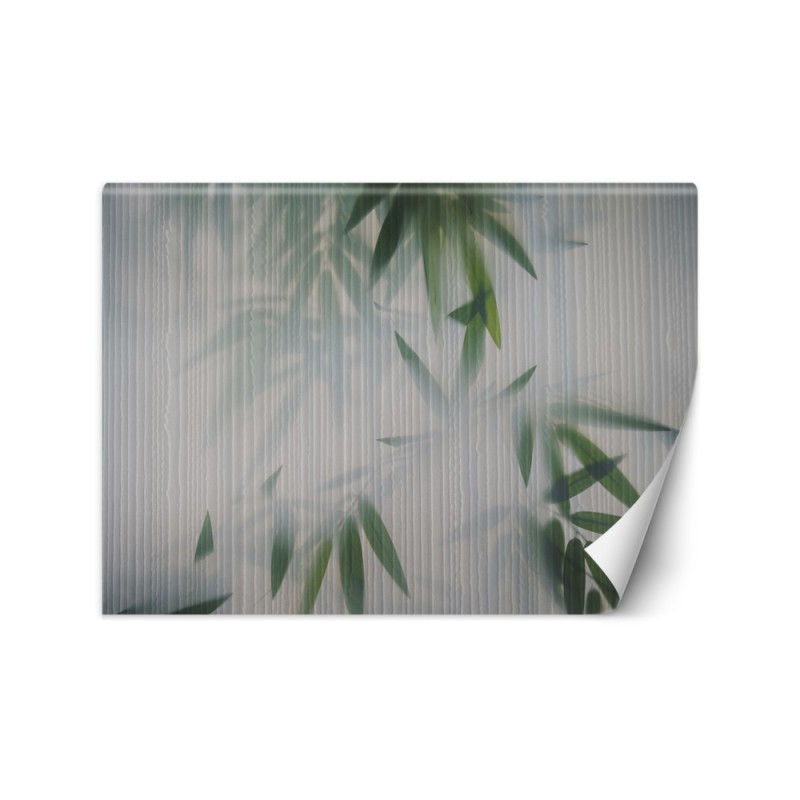 Modern Wallpapers - Nature mist leaves | FEEBY
