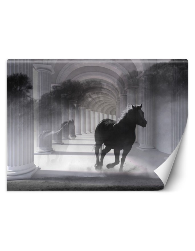 Original Wallpapers - Tunnel running horse 3D effect | FEEBY