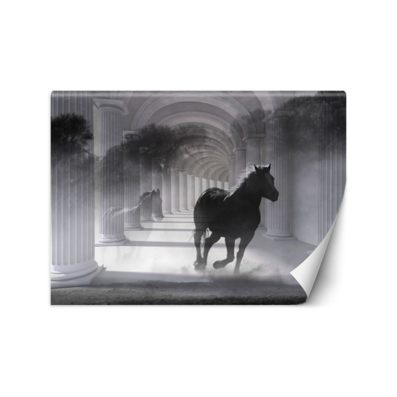 Original Wallpapers - Tunnel running horse 3D effect | FEEBY