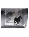 Original Wallpapers - Tunnel running horse 3D effect | FEEBY