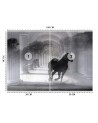 Original Wallpapers - Tunnel running horse 3D effect | FEEBY