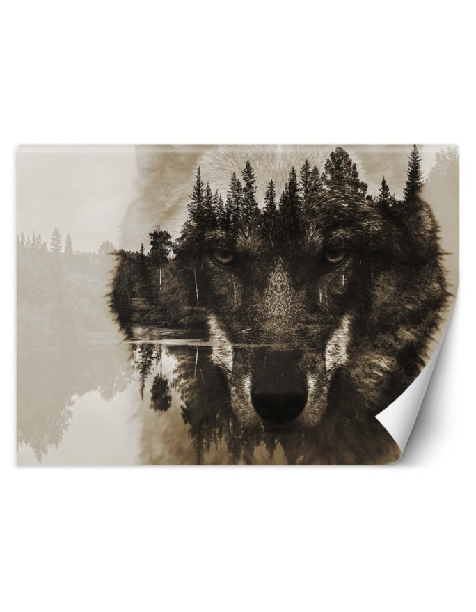 The most fashionable wall murals - Wolf forest in fog lake | FEEBY