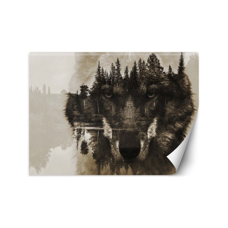The most fashionable wall murals - Wolf forest in fog lake | FEEBY