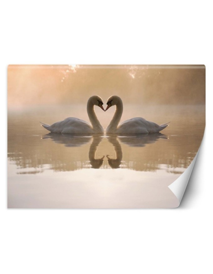 Beautiful wall murals - Swans lake | FEEBY
