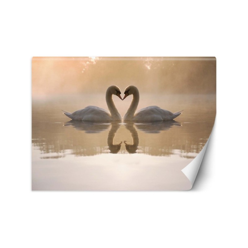 Beautiful wall murals - Swans lake | FEEBY