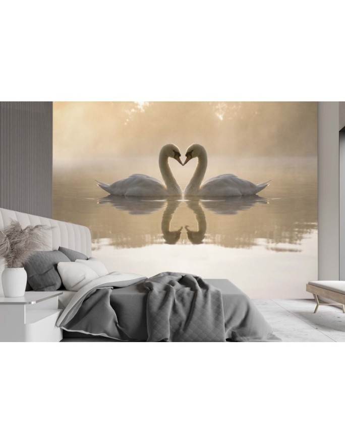 Beautiful wall murals - Swans lake | FEEBY