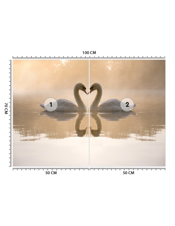 Beautiful wall murals - Swans lake | FEEBY