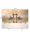 Beautiful wall murals - Swans lake | FEEBY