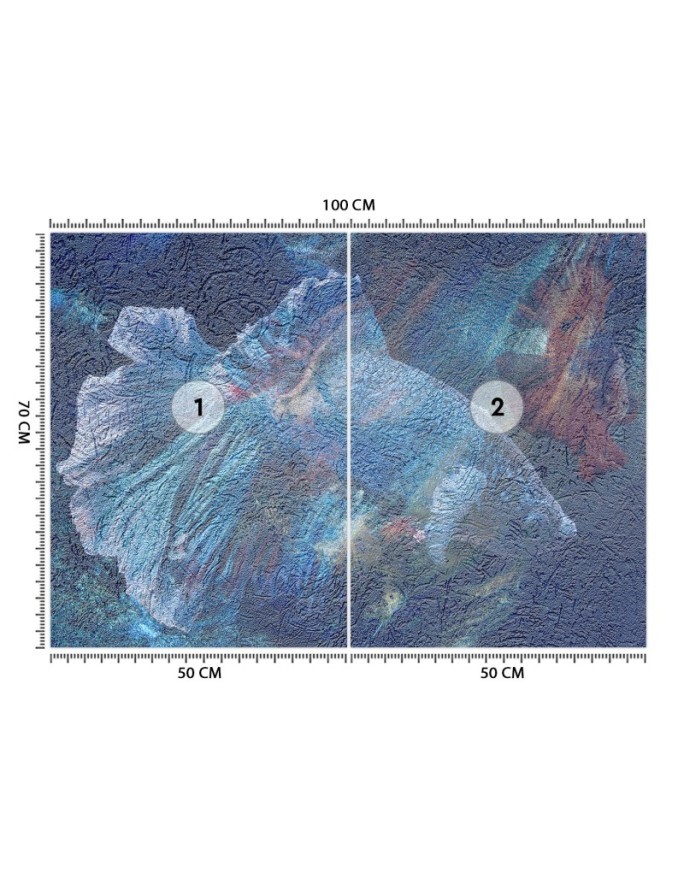 Unique wall murals - Marine abstraction | FEEBY