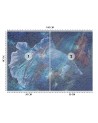 Unique wall murals - Marine abstraction | FEEBY