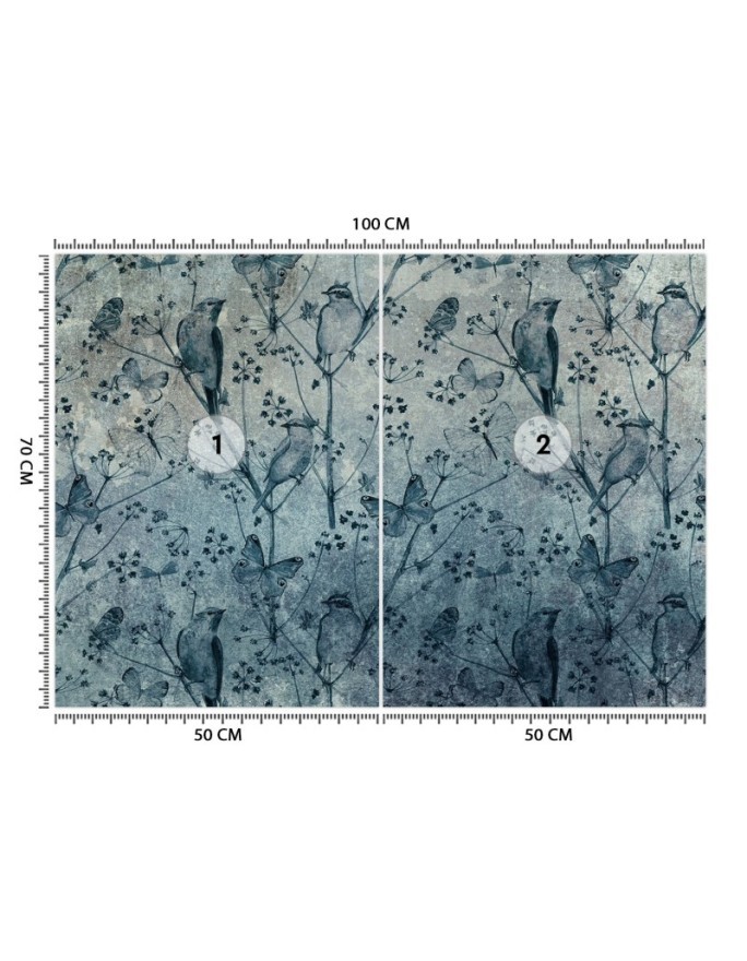 Original wall murals - Birds and butterflies on the wall | FEEBY
