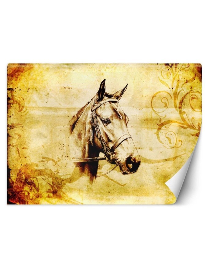 Modern wall murals - Vintage horse | FEEBY
