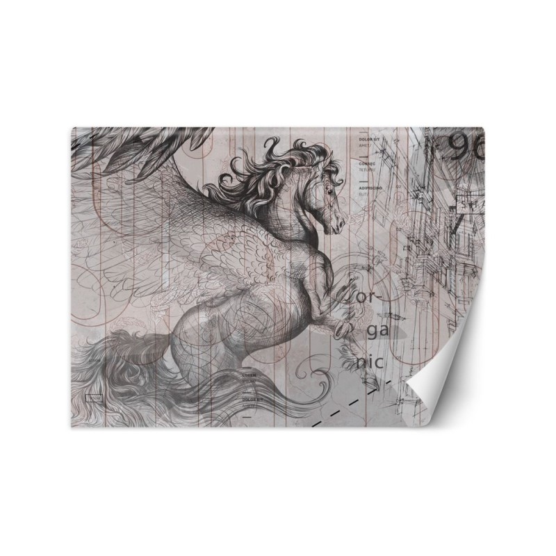 Unique wall murals - Pegasus horse abstract | FEEBY