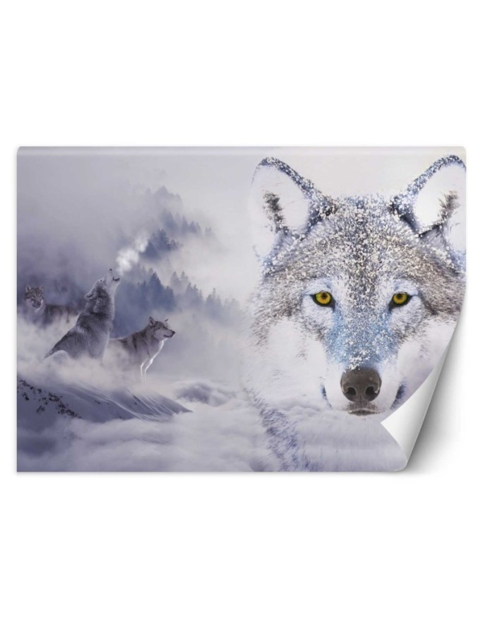 Unique wall murals - Wolves winter forest in fog | FEEBY