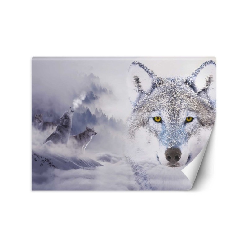 Unique wall murals - Wolves winter forest in fog | FEEBY