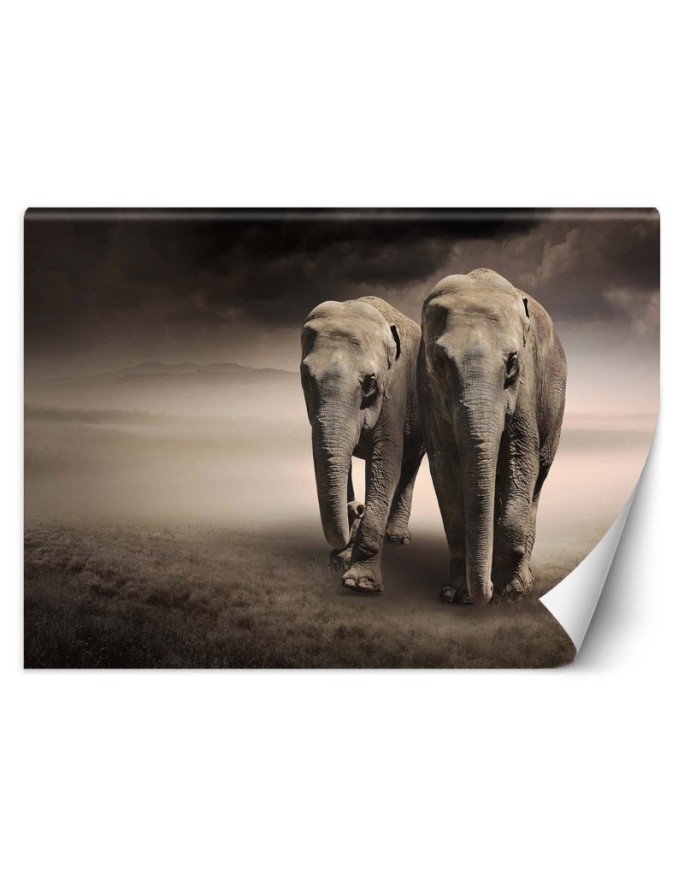Modern wall murals for living room - Elephant couple africa nature | FEEBY