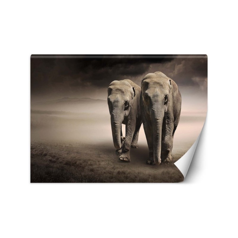 Modern wall murals for living room - Elephant couple africa nature | FEEBY