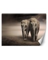 Modern wall murals for living room - Elephant couple africa nature | FEEBY